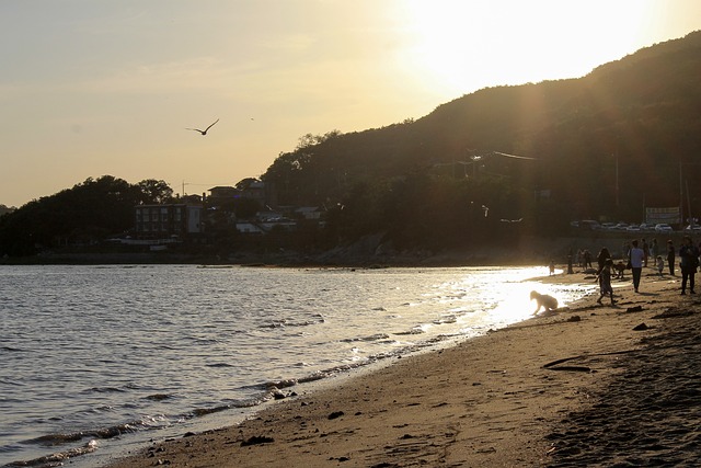 강릉의 숨겨진 맛집, 오오디디에서 느낀 행복한 순간들