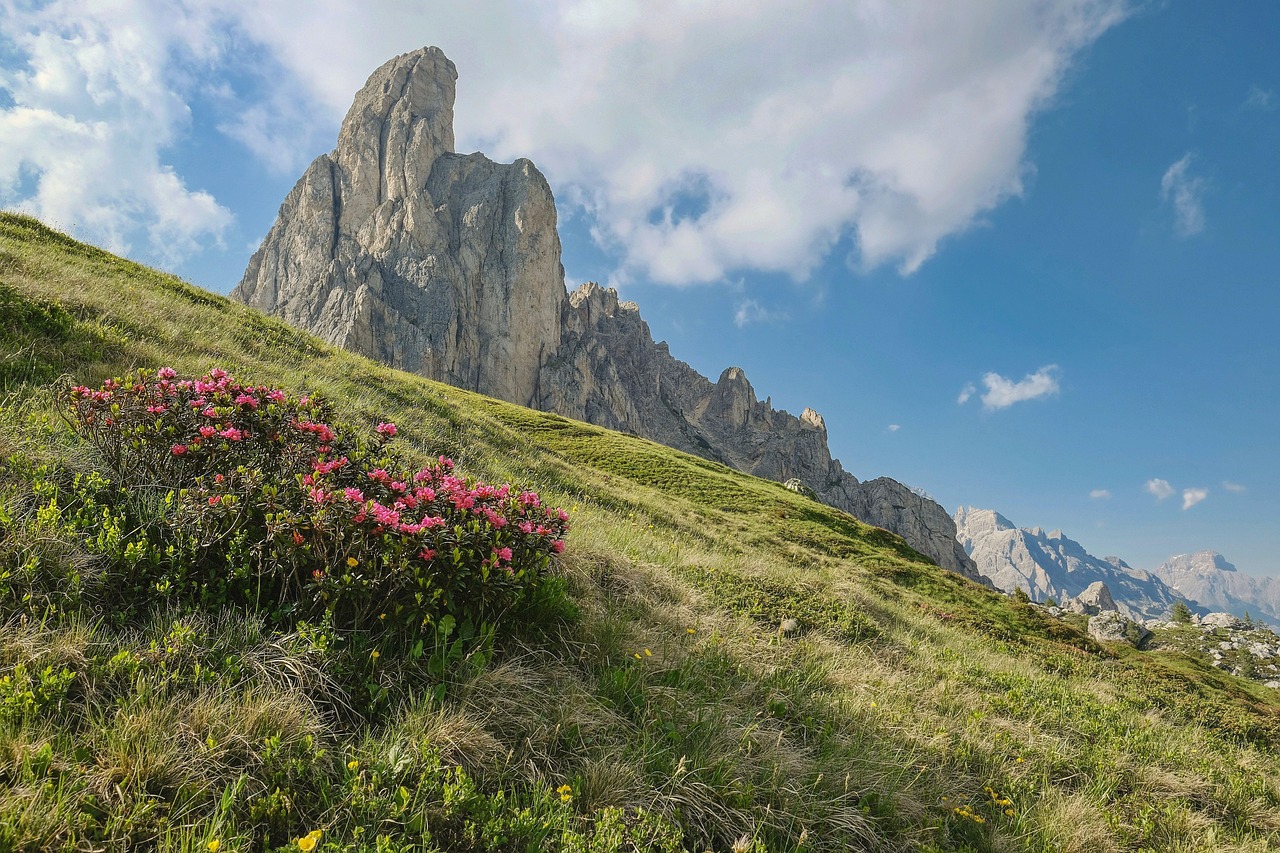 오사카 자유여행: 꿈의 도시에서의 완벽한 일주일