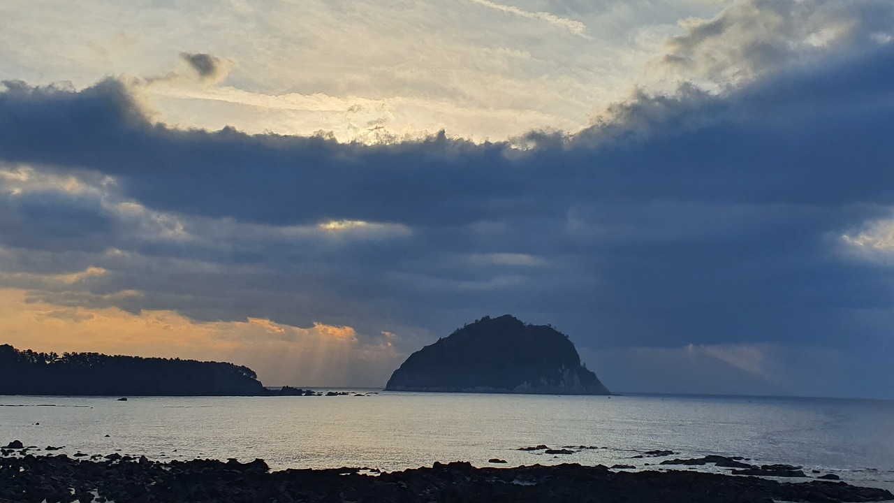 제주 여행의 힐링 공간, 카멜리아힐 탐방기