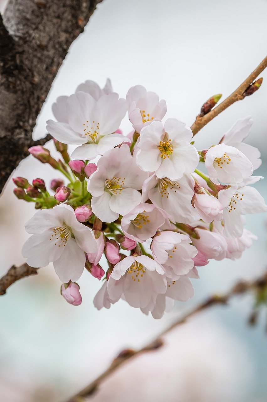 아야진 해수욕장: 강원도의 진정한 여름 여행지
