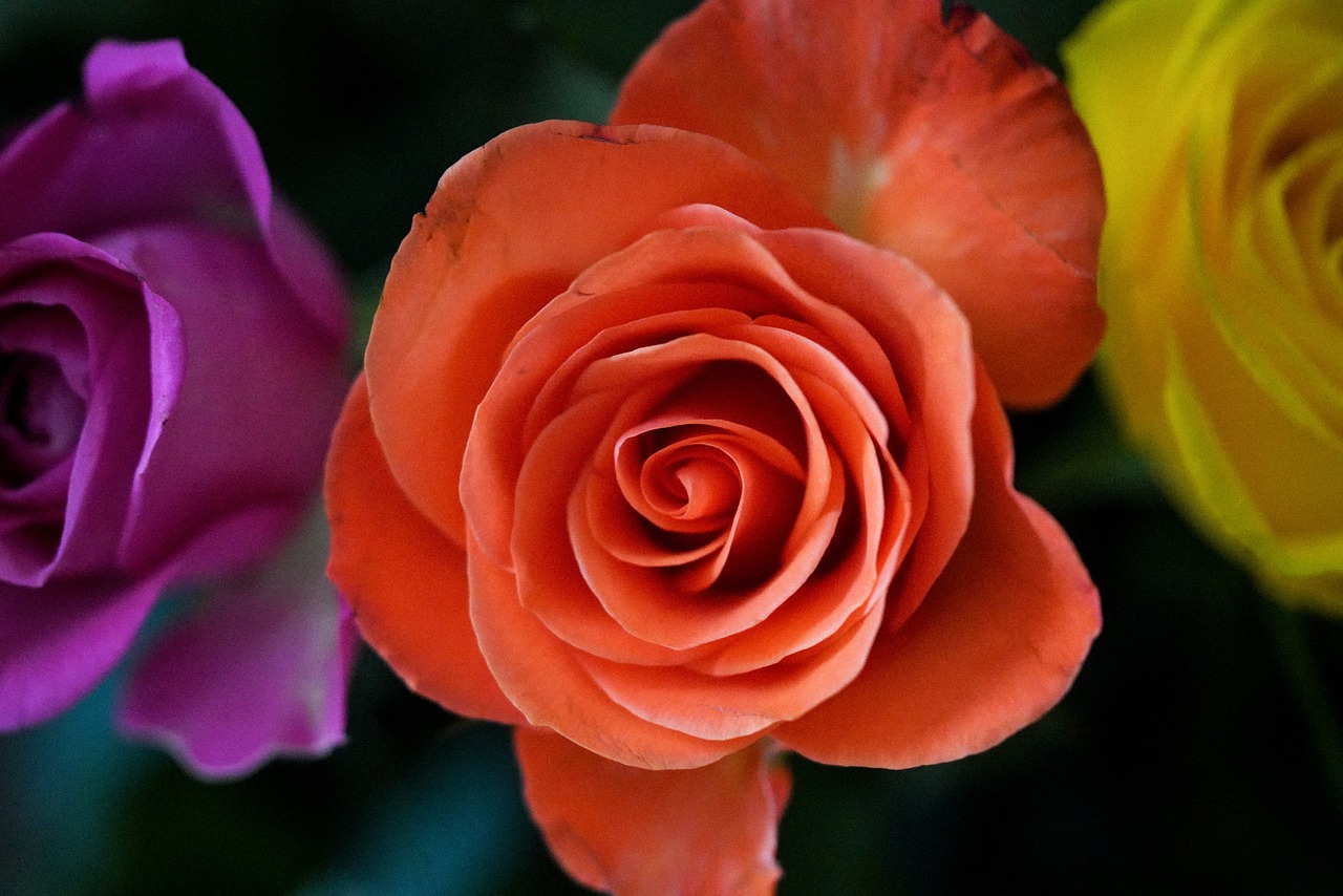 부산 영도의 숨겨진 보석, 하늘 전망대와 흰여울길 탐방기