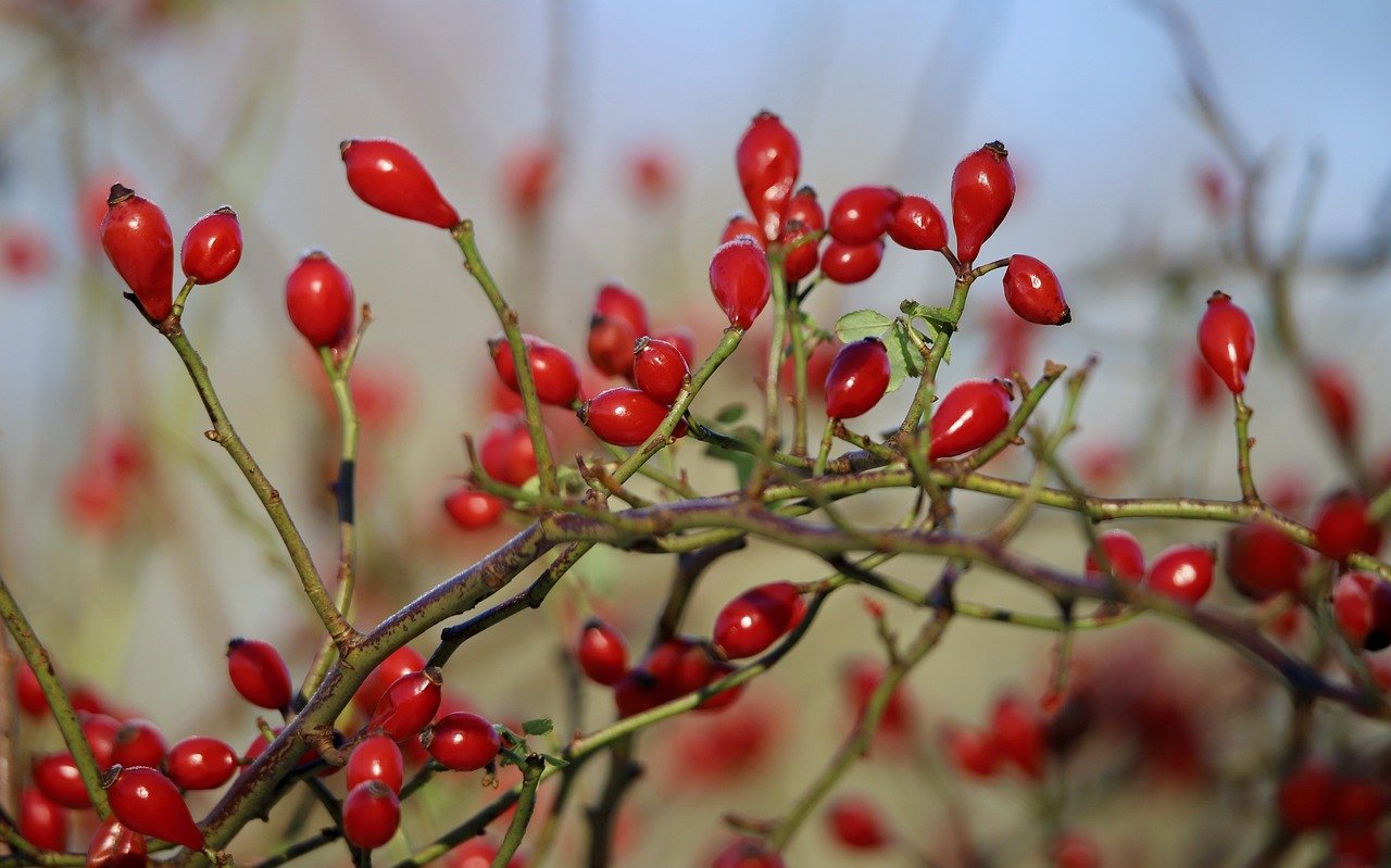 당신의 두피를 구원할 두피앤액과 두피나액의 모든 것