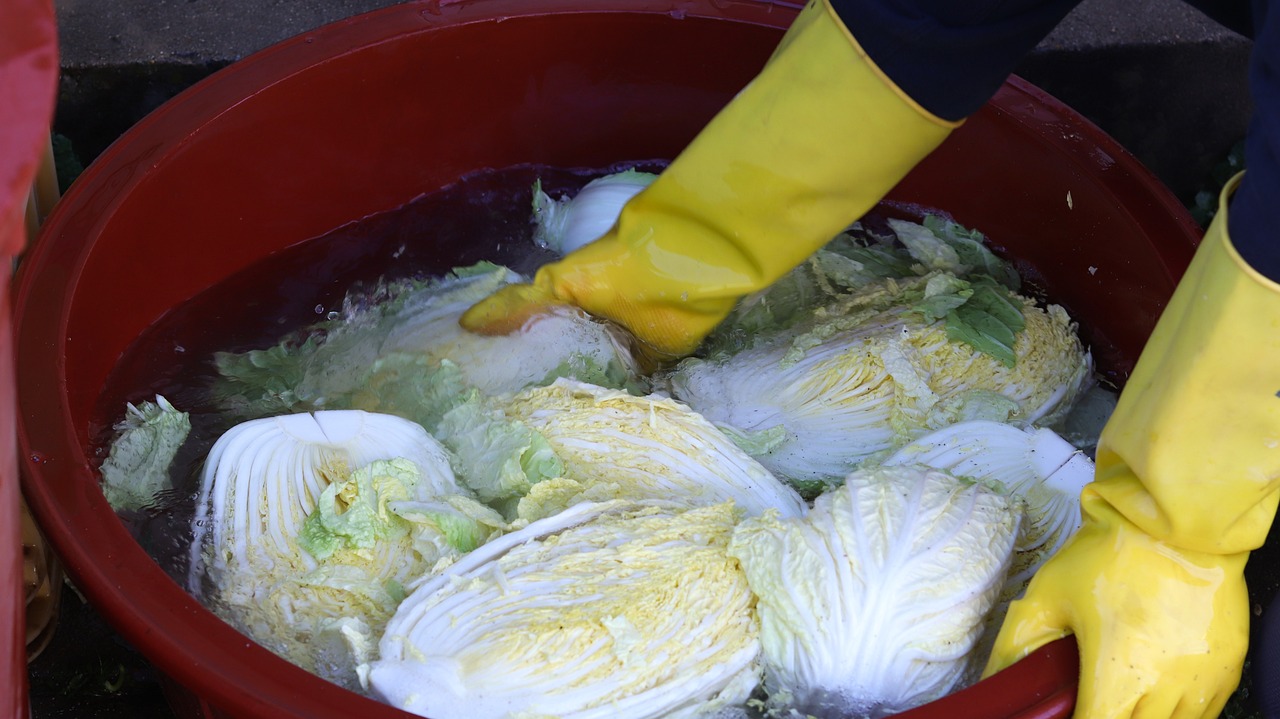 2023 김장준비, 절임배추 사전예약하는 방법! 2023 김장준비, 절임배추 사전예약하는 방법!