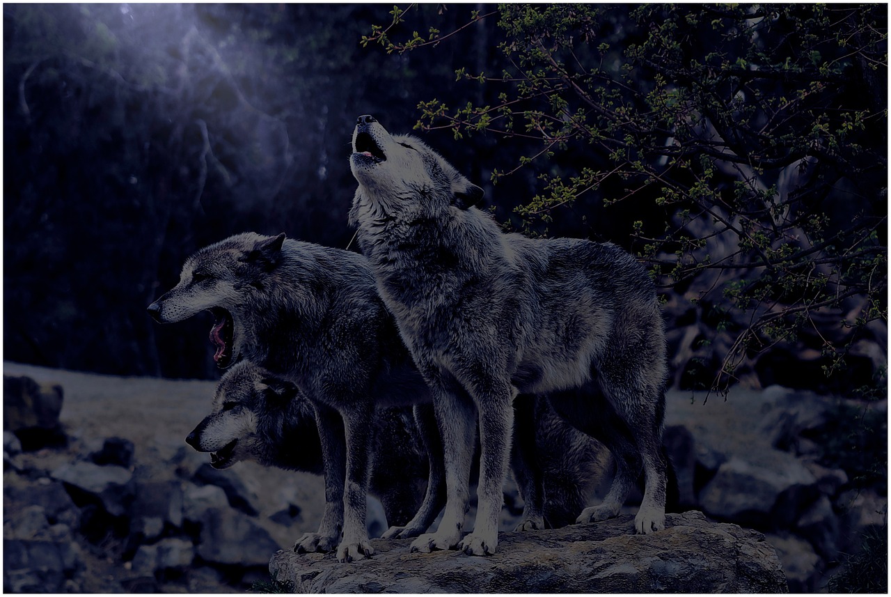 사업자등록번호, 산재개시번호, 사업장관리번호, 이렇게 정리해보세요!