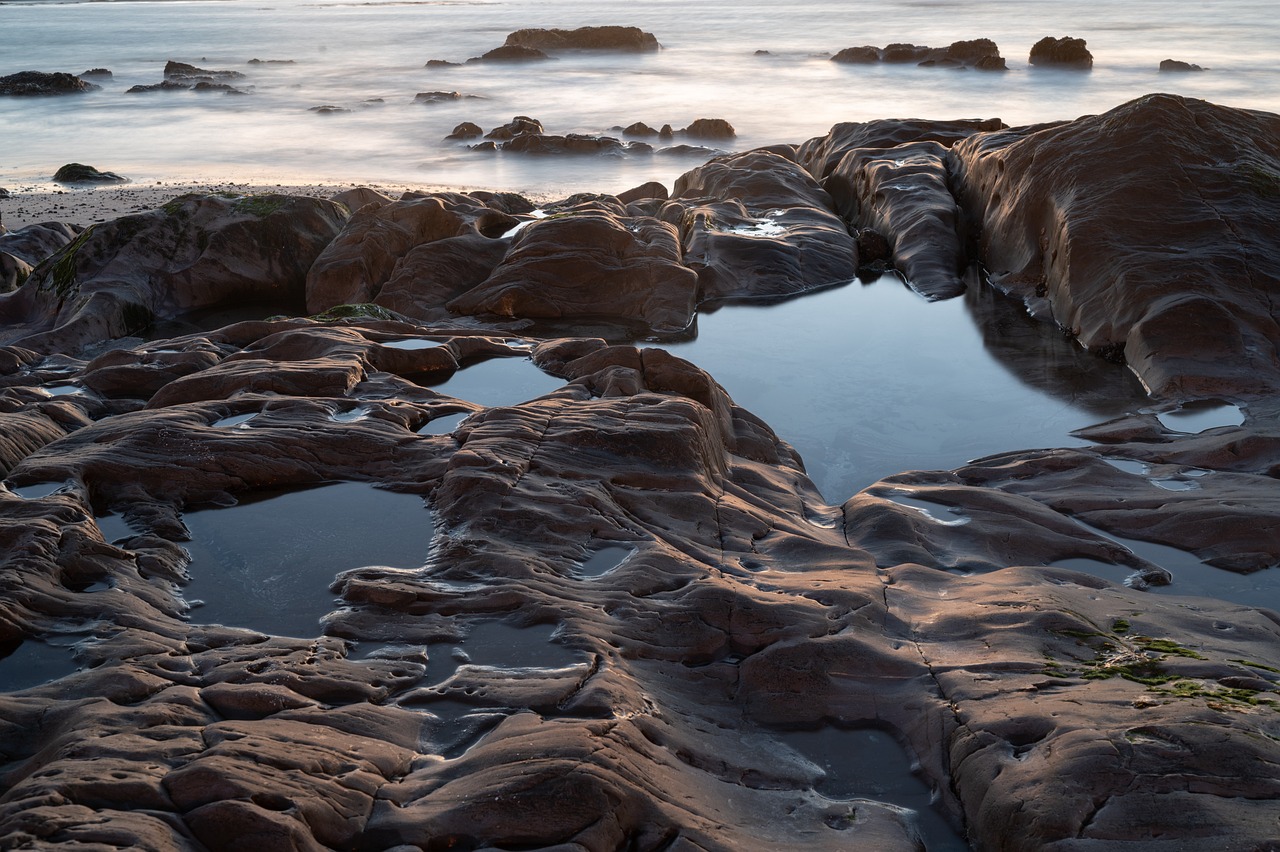 부산에서의 잊지 못할 순간: 해운대 블루라인파크의 매력