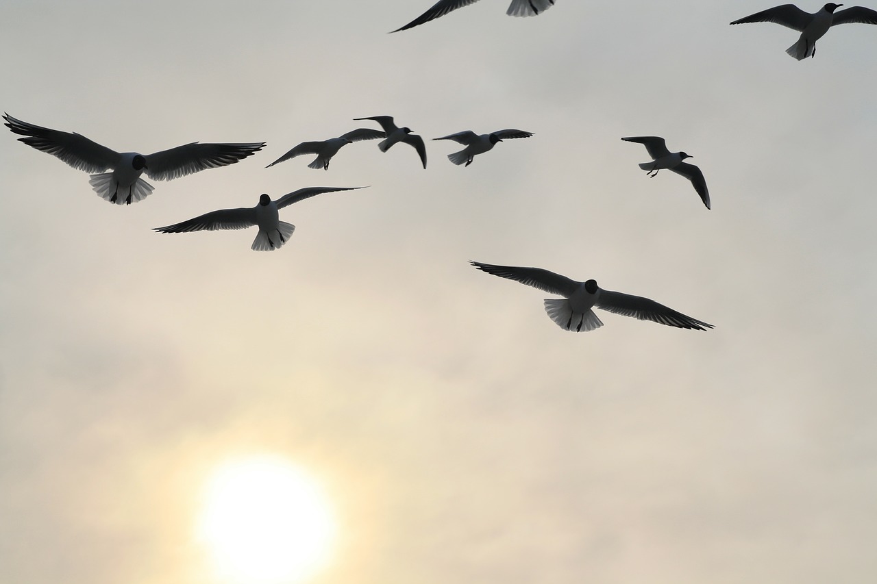 민감성 피부를 위한 최강 크림! 라로슈포제 시카플라스트밤 B5+ 사용 후기