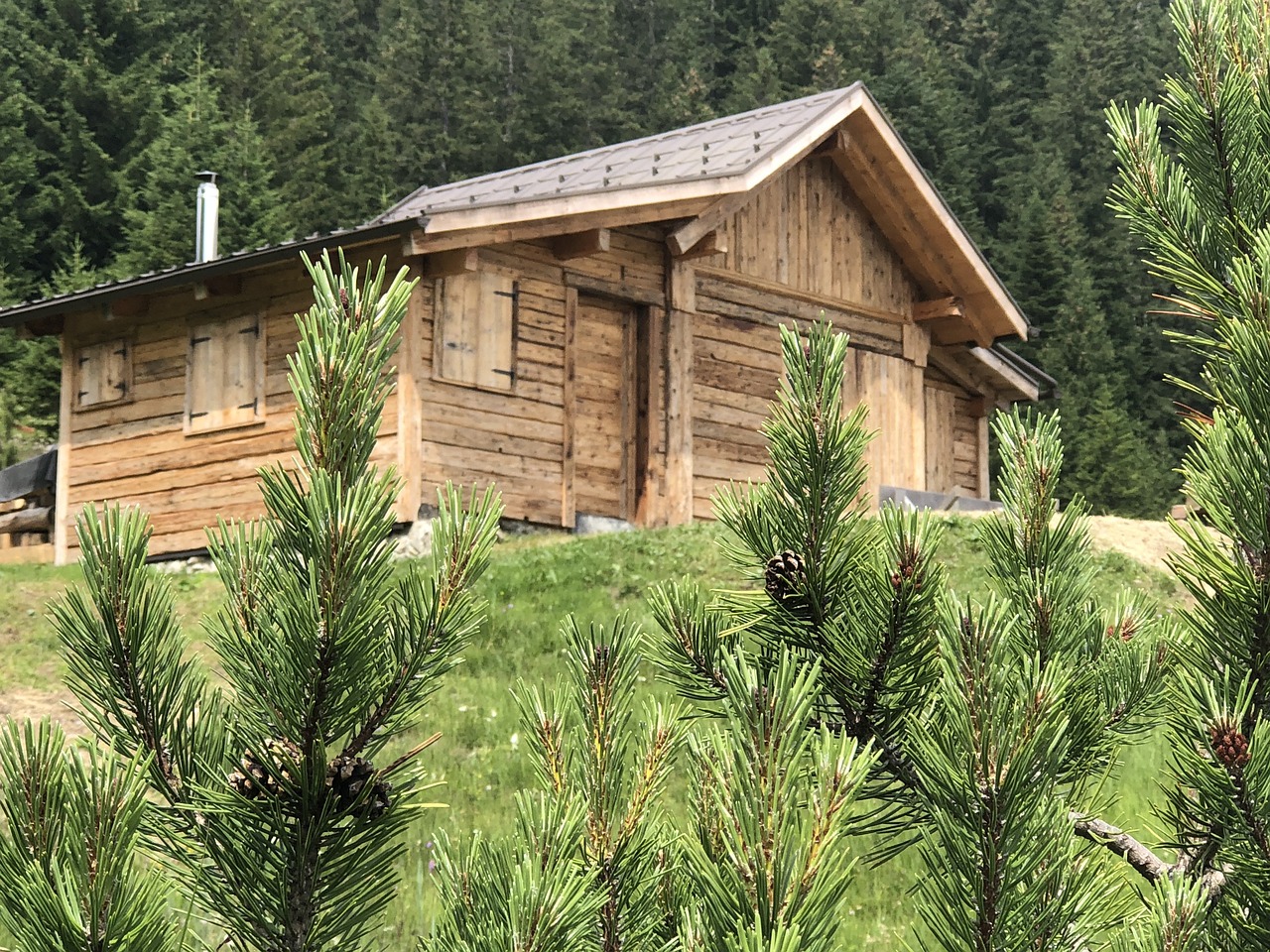 국립자연휴양림 예약의 모든 것, 걱정 없이 여행 준비하기