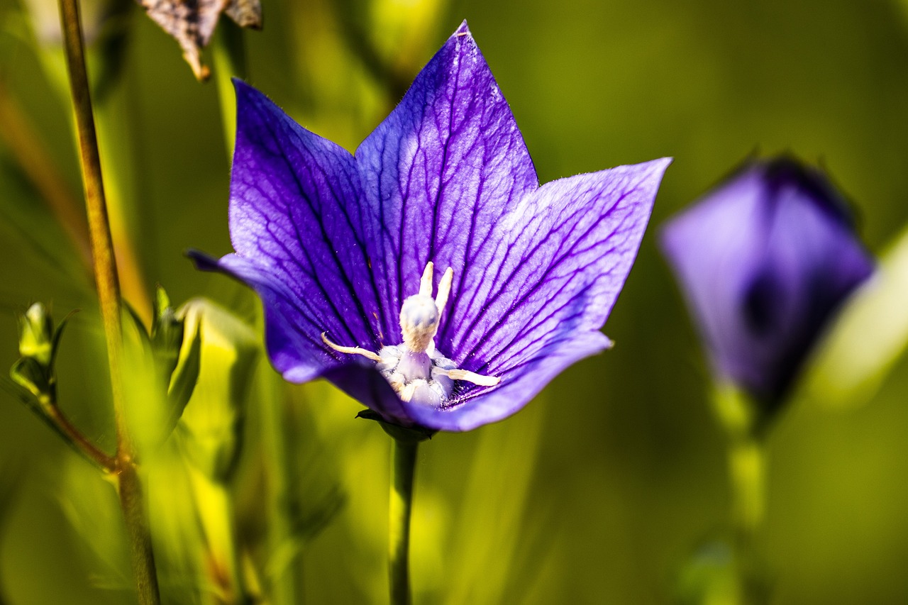 마지막 여름을 만끽하세요! 물놀이 천국 아마존 아쿠아파크에서의 즐거운 하루