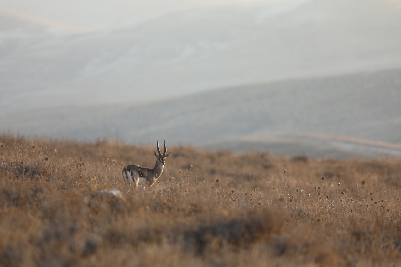 품격 있는 가성비 선물, 피로회복제 아로나민골드와 씨플러스의 모든 것