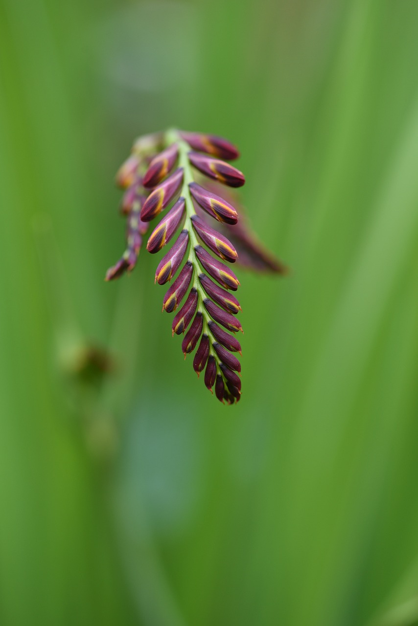 기미일주: 내면의 힘과 성격을 탐구하다