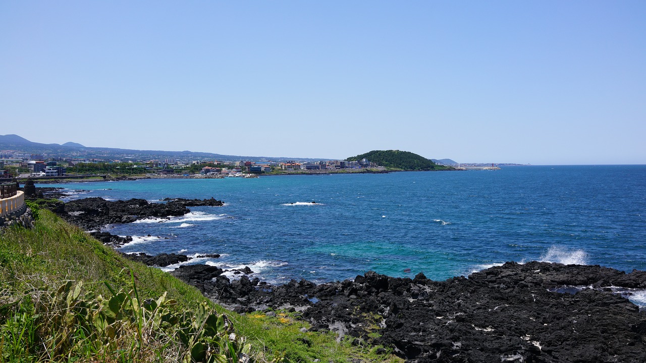 제주도 맛의 성지: 돌담할망 톳 보말 칼국수를 맛보세요!