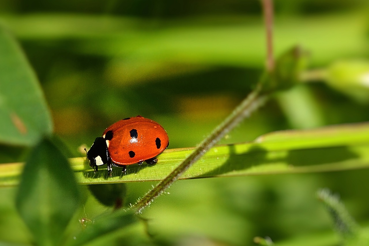 11월 16일 오퀴즈 정답을 확인하세요!