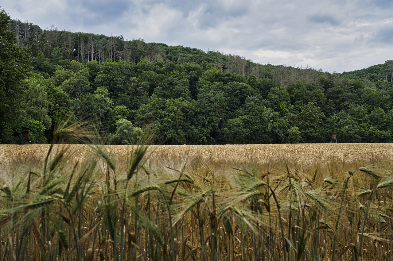 로스트아크 팝업 스토어, 기대하는 순간을 함께!