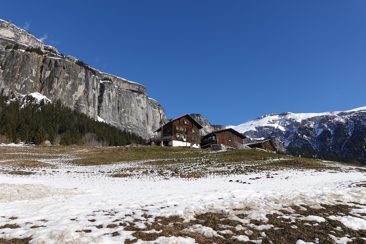 건강보험 정산분, 연말정산에서 놓치지 말아야할 소득공제와 시기