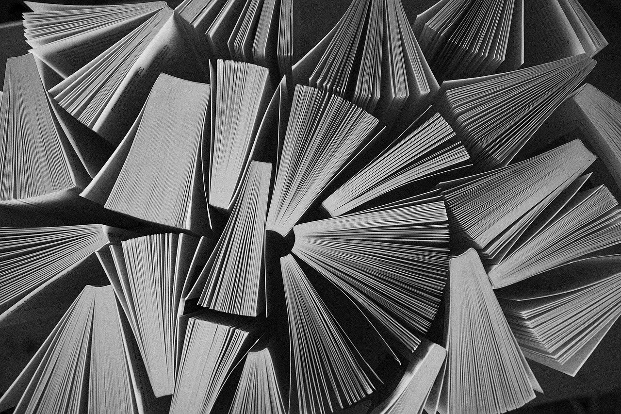 보육통합정보시스템: 효율적인 보육 관리의 새로운 시대를 여는 열쇠