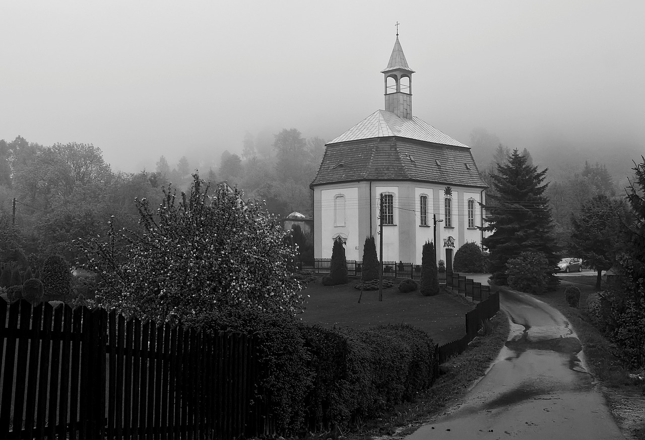 실손보험 청구, 이제 모바일로 간편하게! 변화의 흐름을 타고