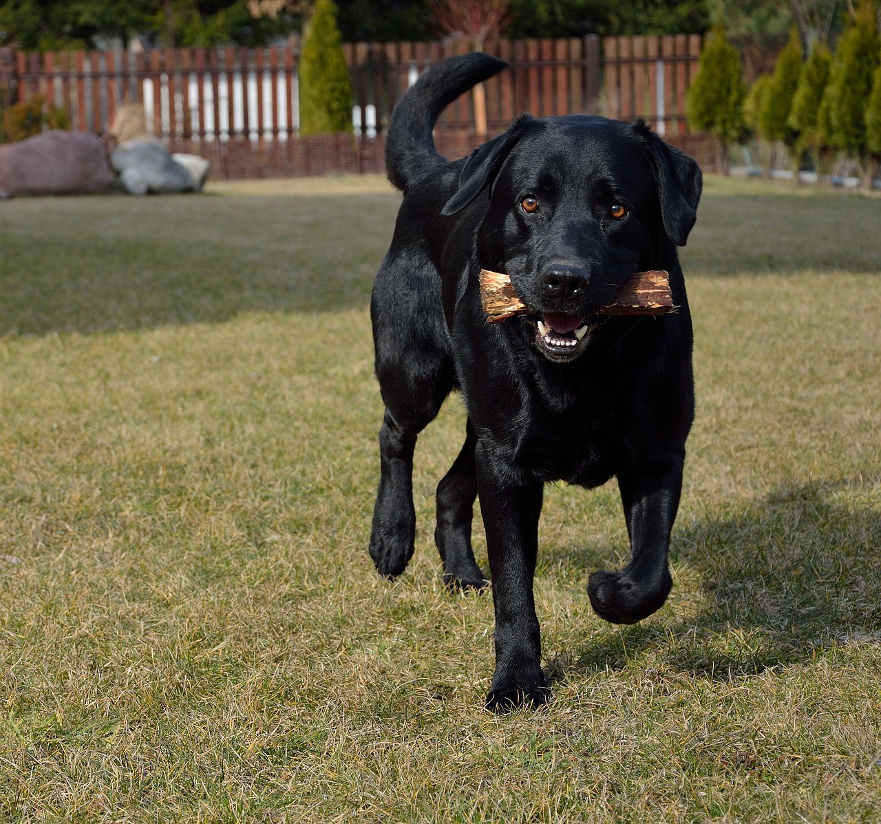 2016년 연말정산 간소화 서비스 활용하기: 소득·세액공제신고서 작성법