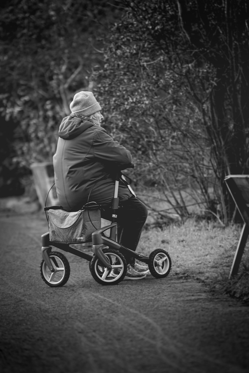 기초연금의 새로운 빛, 당신의 노후를 지켜줄 혜택!
