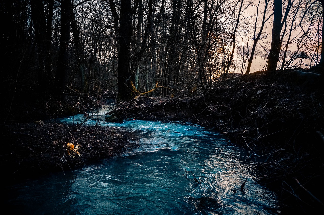 2024 멜론뮤직어워드, 케이팝 팬들을 위한 희망의 축제!