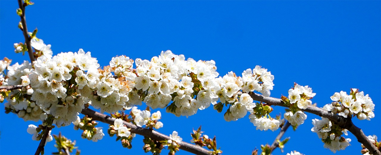 두 개의 전화번호로 더 스마트하게! – 알뜰폰 eSIM 사용법