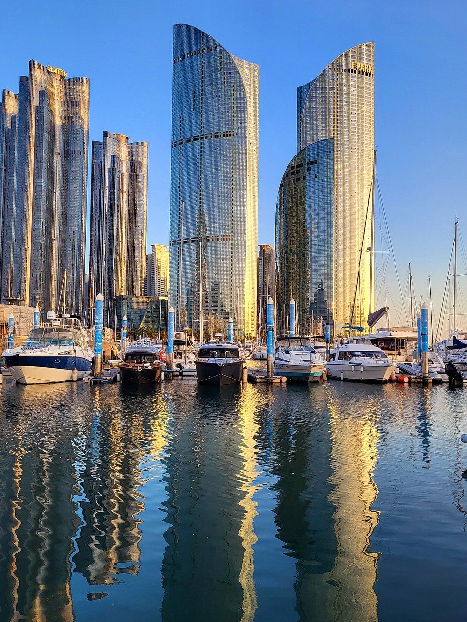 찬란한 범죄 드라마의 세계:  첫 이야기