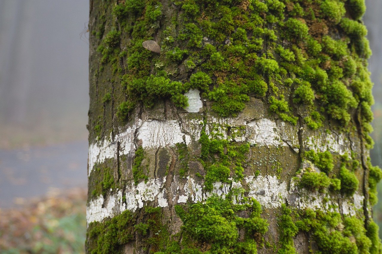 연말정산의 복잡함, 간소화로 쉽게 해결할 수 있는 방법