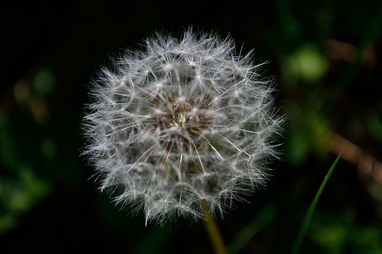 갤럭시 S25 울트라, 기다림을 뛰어넘는 혁신! 출시는 언제일까?