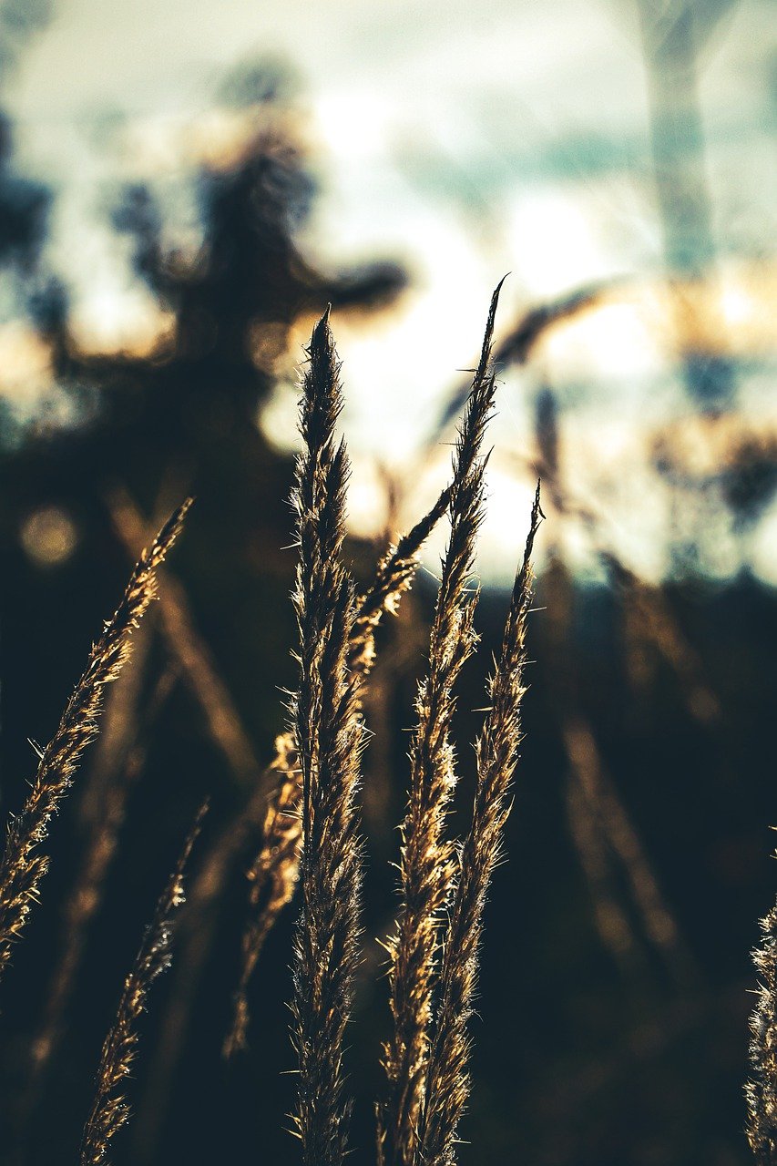 기아차 사계절 방한커버: 당신의 자동차를 위한 필수 아이템