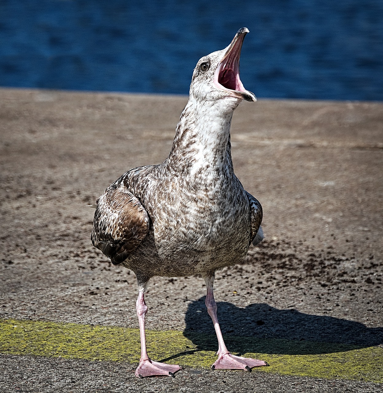 꿈꾸는 헤어스타일, 수험생 할인으로 마음껏 도전하세요!