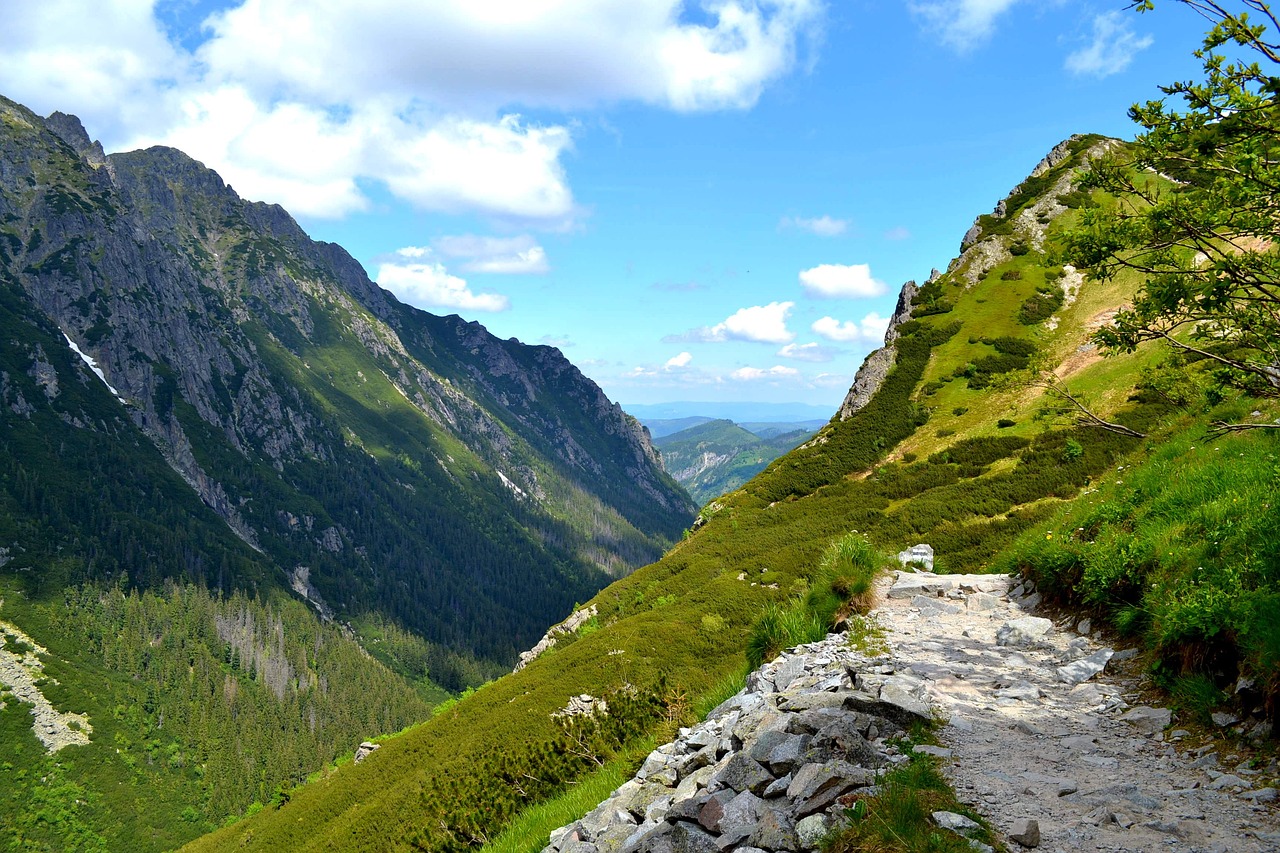 놓치지 말아야 할 2022 쓱(SSG)데이 할인 상품 총정리 – 최대 70% 할인!