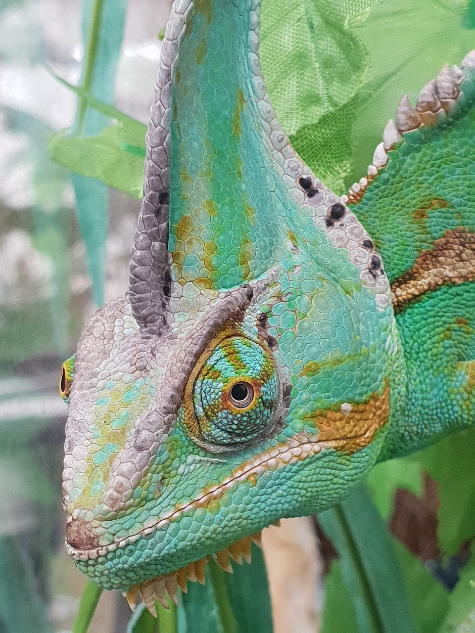 두 딸과 함께하는 유치원 입학 준비의 모든 것