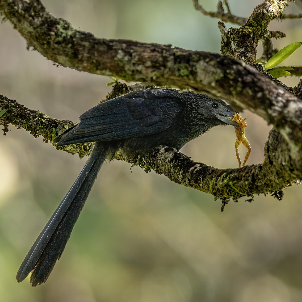 후쿠오카의 매력, 2일차 여행 이야기