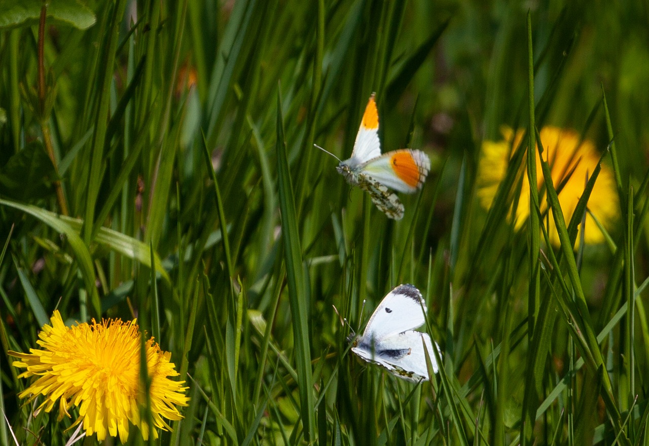 연말정산, 쉽고 빠르게 확인하는 방법: 홈택스 세액 계산기 활용하기
