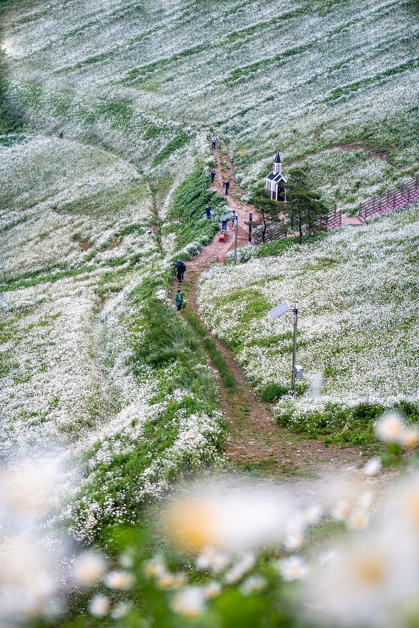강원도 평창의 숨겨진 맛집, 용평리조트 인근에서 꼭 가봐야 할 맛의 세계!