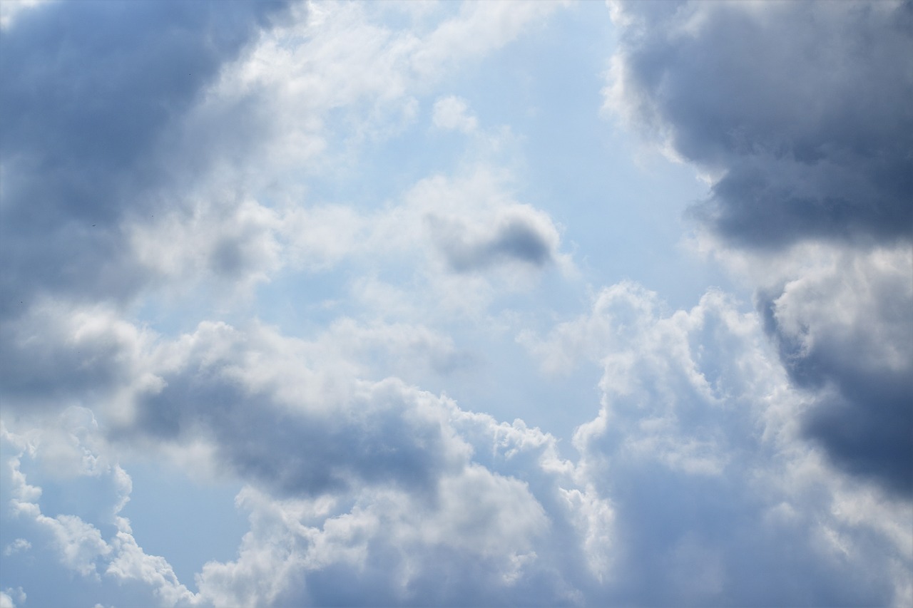 미국의 세금 개편과 우리의 부자증세 필요성