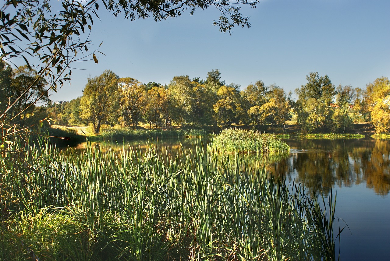 4K Video Downloader 한글판, 어디서 어떻게 다운로드할까?