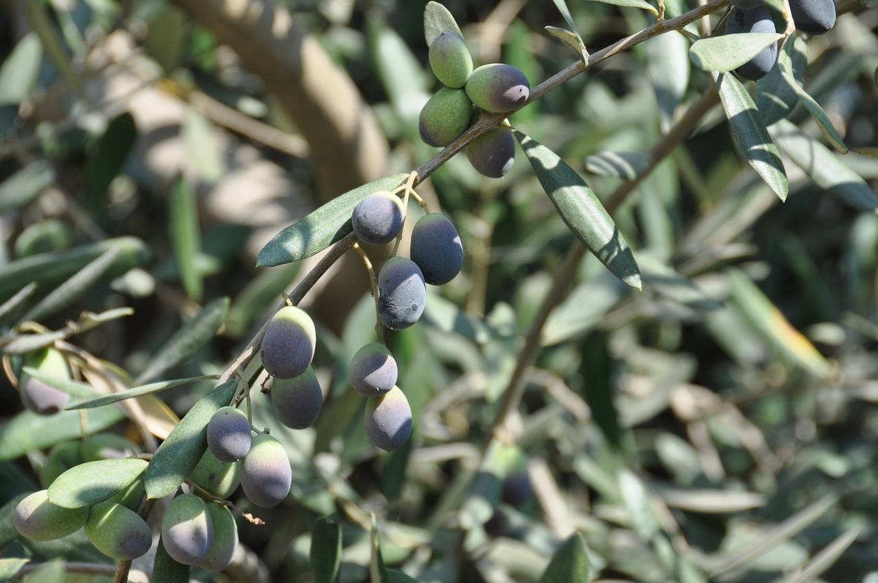 소녀전선2 리세마라: 원하던 캐릭터를 손에 쥘 수 있는 비밀!