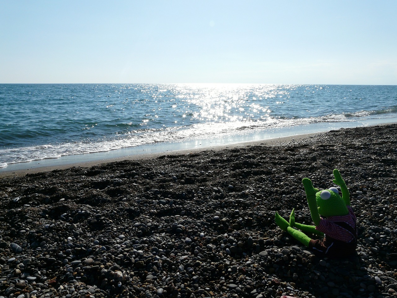 2024년 신년운세: 푸른 용의 해를 맞이하며 우리 모두의 잠재력을 깨우는 방법