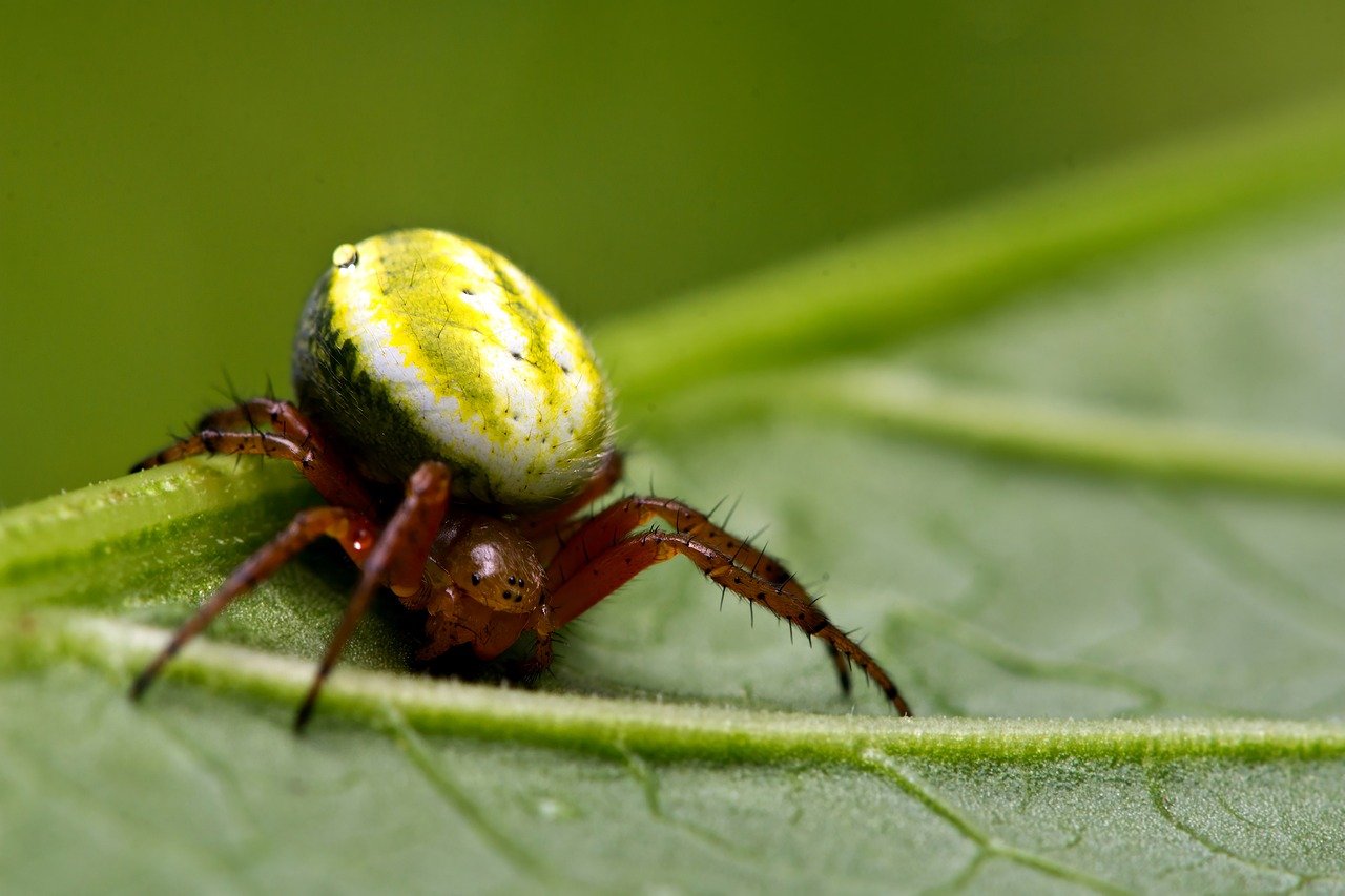 비트코인, 미래의 투자! 쉽게 사는법 알아보세요