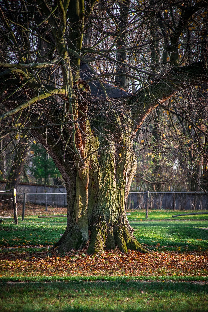 2024 소상공인 카드수수료 환급금: 반드시 알아야 할 필수 정보