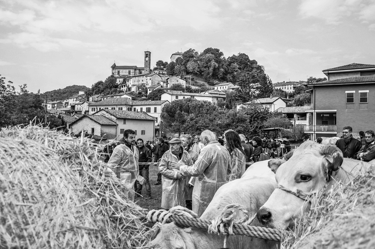 신협 임차자금과 생활안정자금 대출: 조건과 금리에 대한 모든 것