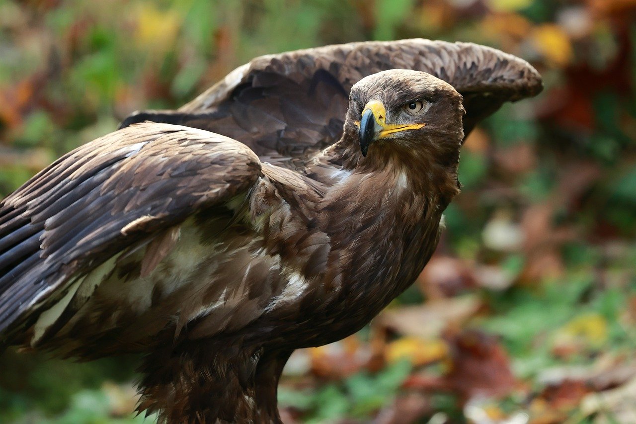 건강보험 자격득실확인서 발급, 이렇게 간편하게 해보세요!
