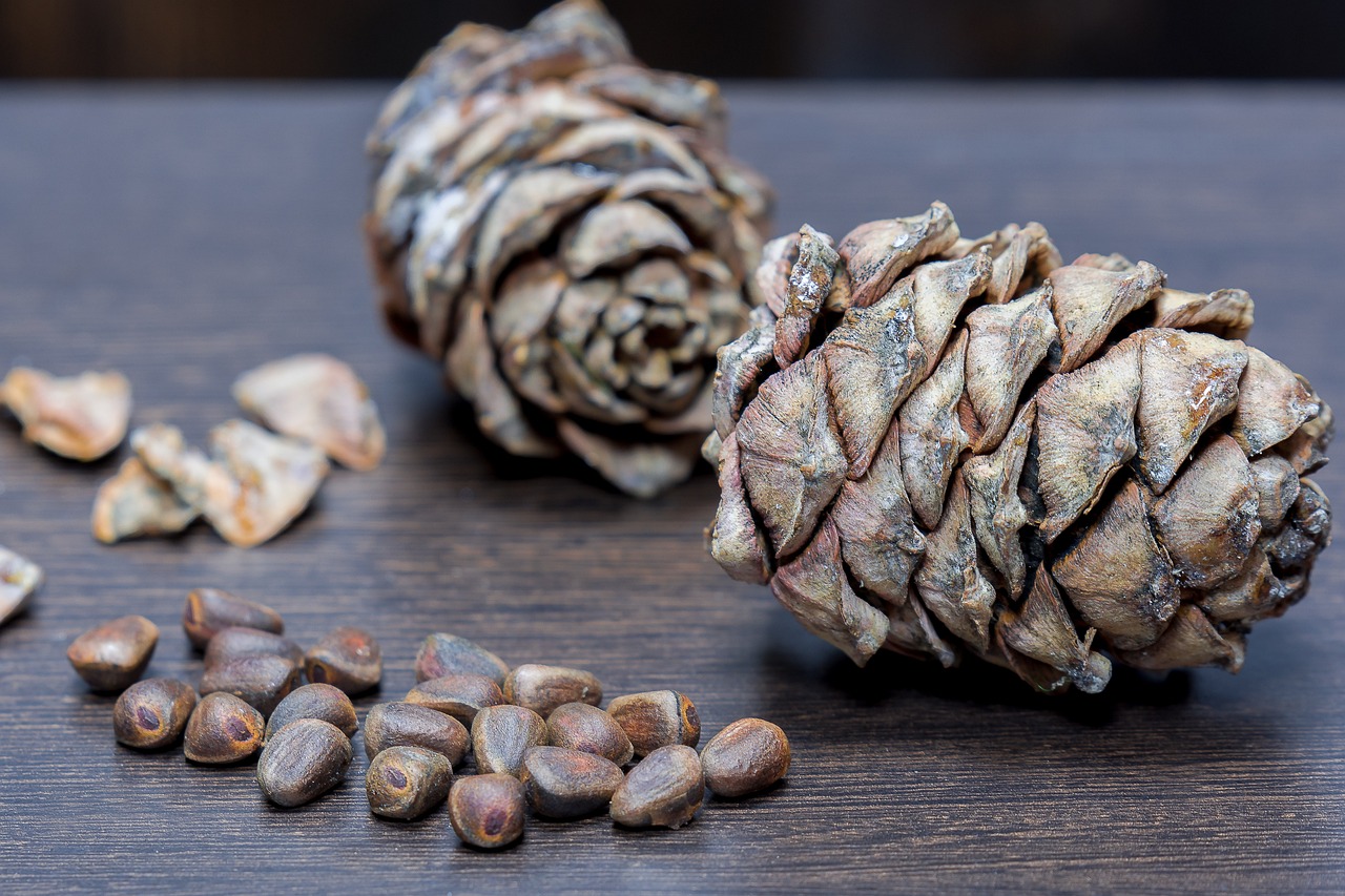 소상공인, 영세사업자, 자영업자: 각각의 특성과 기준을 이해해보자