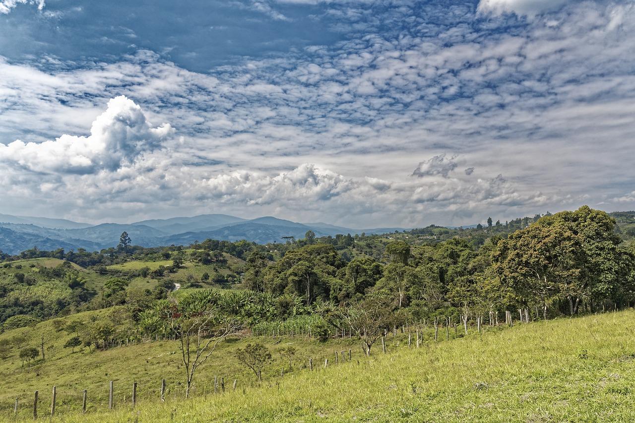 전세계 최고의 호텔 예약 사이트, 당신의 여행을 위한 최고의 선택