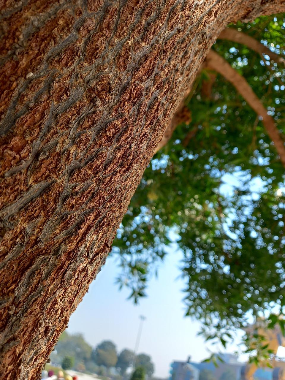 하얼빈의 매력, 매혹적인 여행 명소와 추천 코스