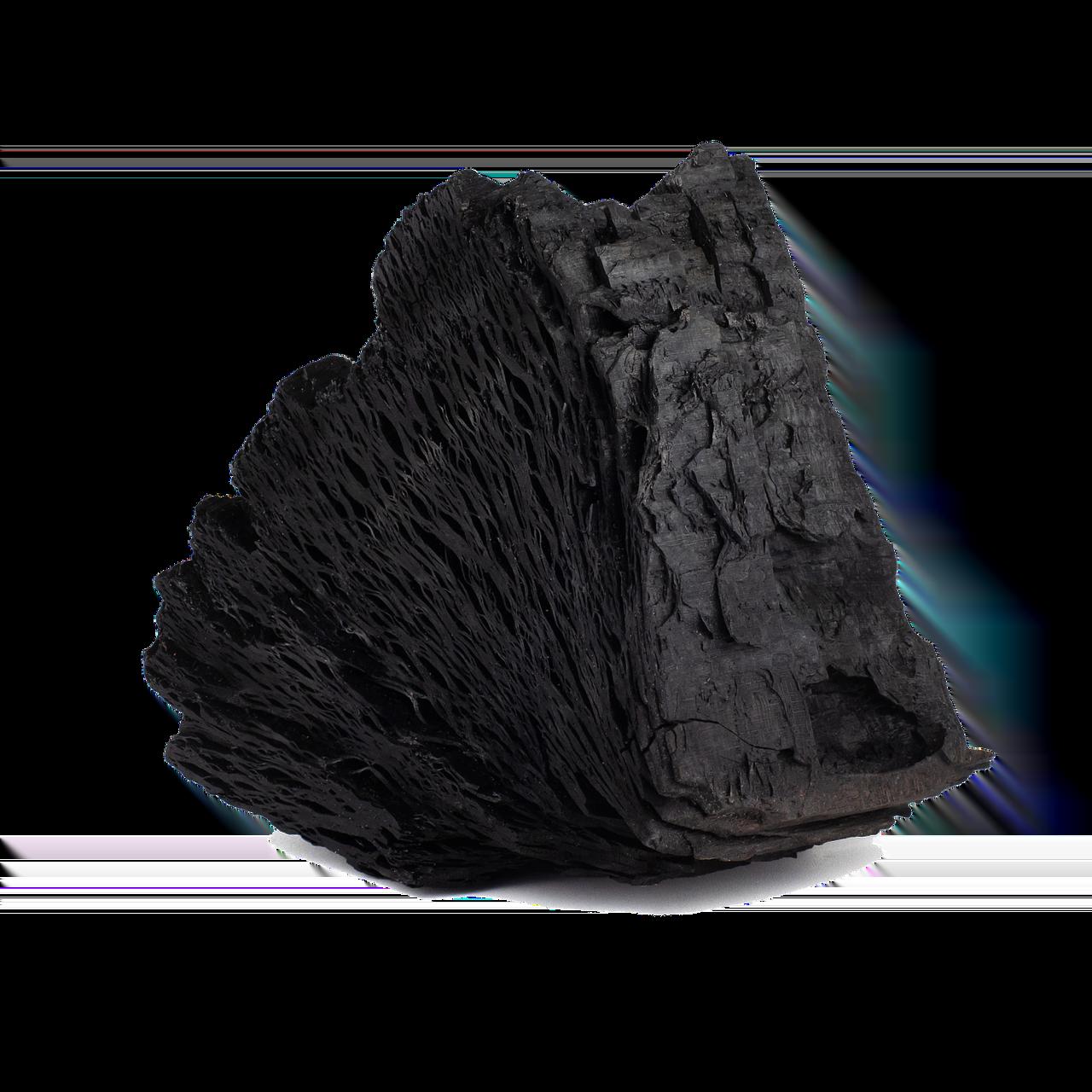 고향사랑기부제로 즐길 수 있는 연말정산 혜택과 매력적인 답례품