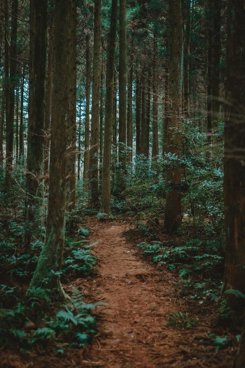롯데마트 휴무일 안내: 대형마트의 쉬는 날 및 점포 정보