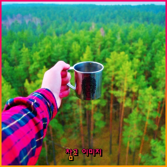 미국 양자 컴퓨터 관련주 총정리: 혁신의 시대를 선도하는 투자 기회