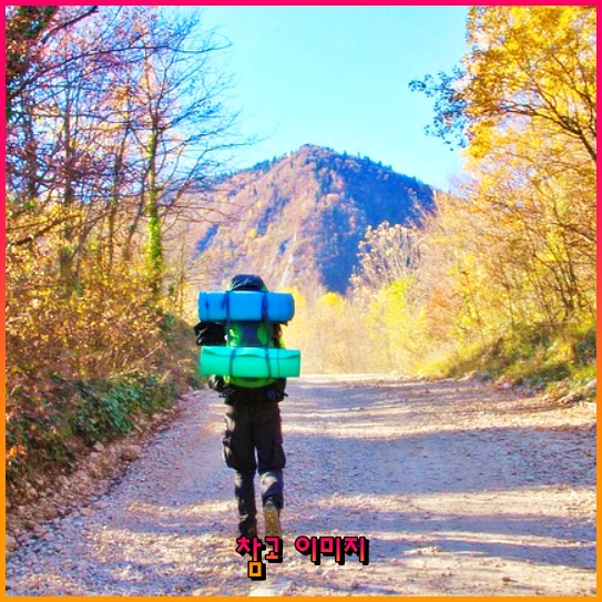 새로운 삶의 여정: 부산 우암동의 이야기