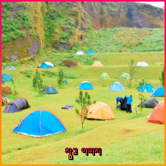 정치 테마주 투자 시 주의해야 할 점: 삼호개발과 이재명 관련주 분석